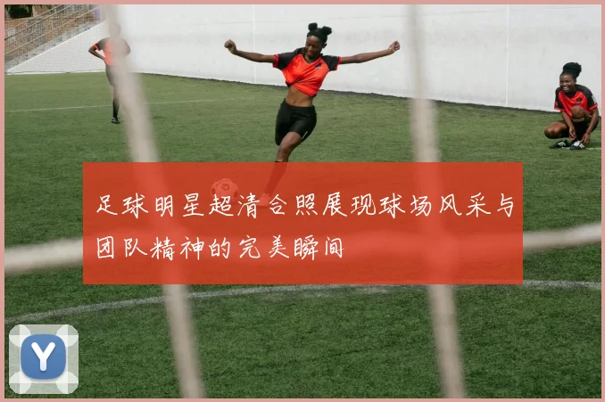 足球明星超清合照展现球场风采与团队精神的完美瞬间