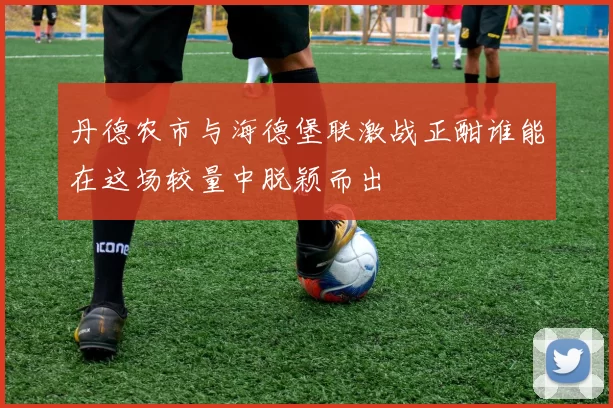 丹德农市与海德堡联激战正酣谁能在这场较量中脱颖而出