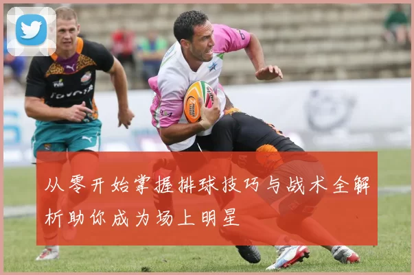 从零开始掌握排球技巧与战术全解析助你成为场上明星