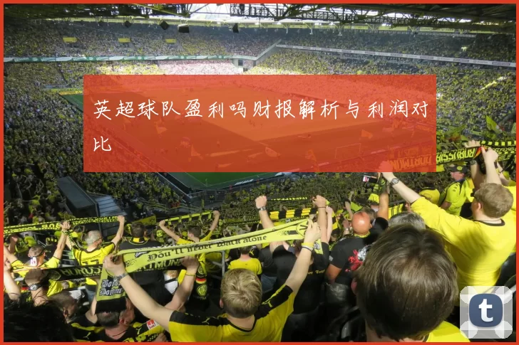 英超球队盈利吗财报解析与利润对比